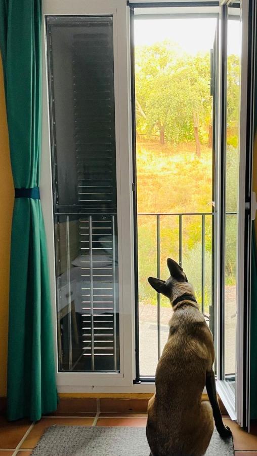 Casa Rural Una Ventana A La Montana Арасена Экстерьер фото
